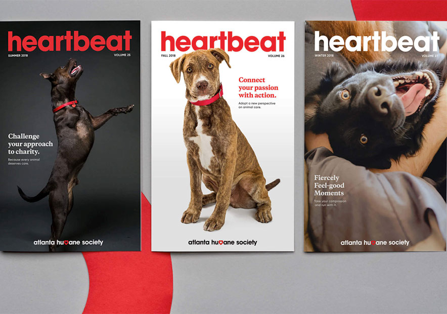 美国表情各异的三只狗狗形象海报.jpg