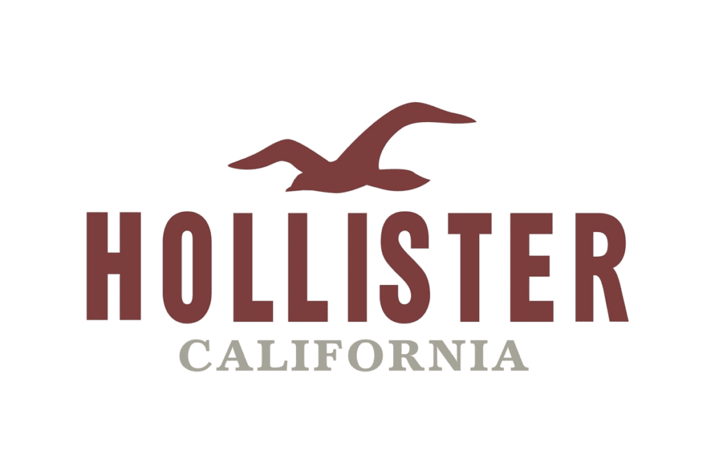 Hollister 时尚logo.png
